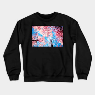 Color Drama III Crewneck Sweatshirt